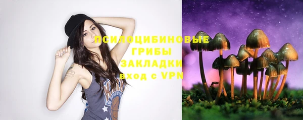apvp Ессентукская