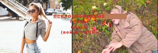 гидропоника Новосибирск