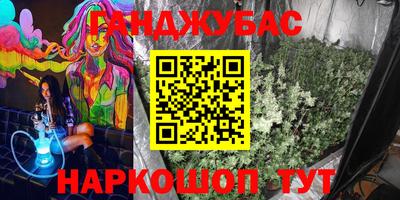 скорость Бийск
