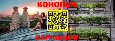 скорость Бийск