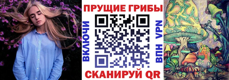 Псилоцибиновые грибы Cubensis  купить   Тюмень 
