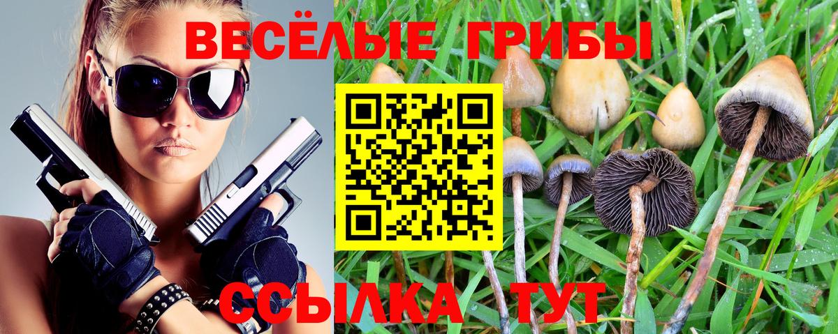 Галлюциногенные грибы Psilocybine cubensis Россия