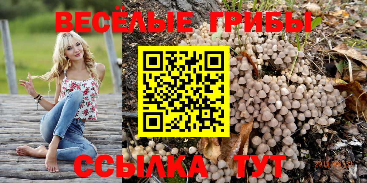 где купить наркоту  Вход с VPN  Россия  Псилоцибиновые грибы Magic Shrooms 